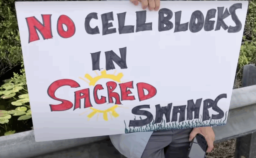 Visiting Lawmakers Decry Everglades ‘Internment Camp’: ‘Wall-To-Wall Humans’